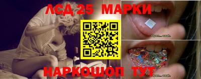 молекула духа Донецк