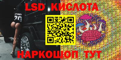 молекула духа Донецк