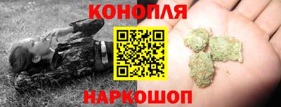 spice Дубна