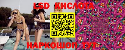 молекула духа Донецк