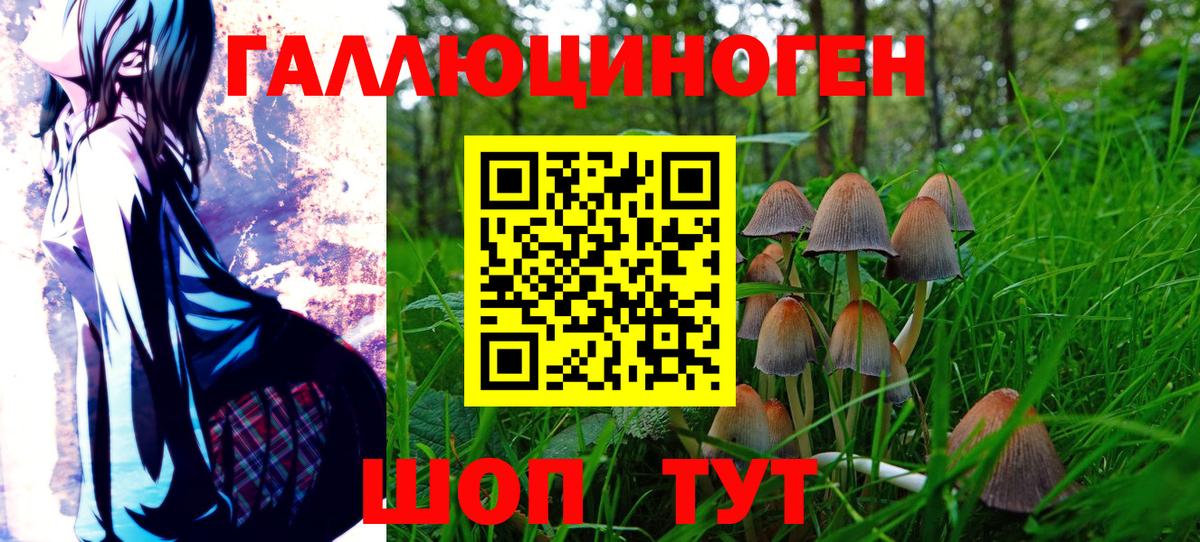 Галлюциногенные грибы мицелий  Вход с VPN  Корсаков 